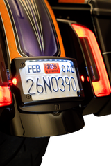 KODLIN USA 3-in-1 Mount Kit - License Plate - Cureved - Black KUS20302