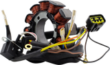 RM STATOR Stator - Polaris RM01058