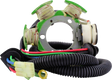 RM STATOR Stator - Yamaha RM01520