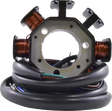 RM STATOR Stator - Kawasaki RM01535