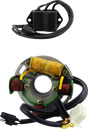 RM STATOR Stator and CDI Box Kit - Polaris RMS900-108199