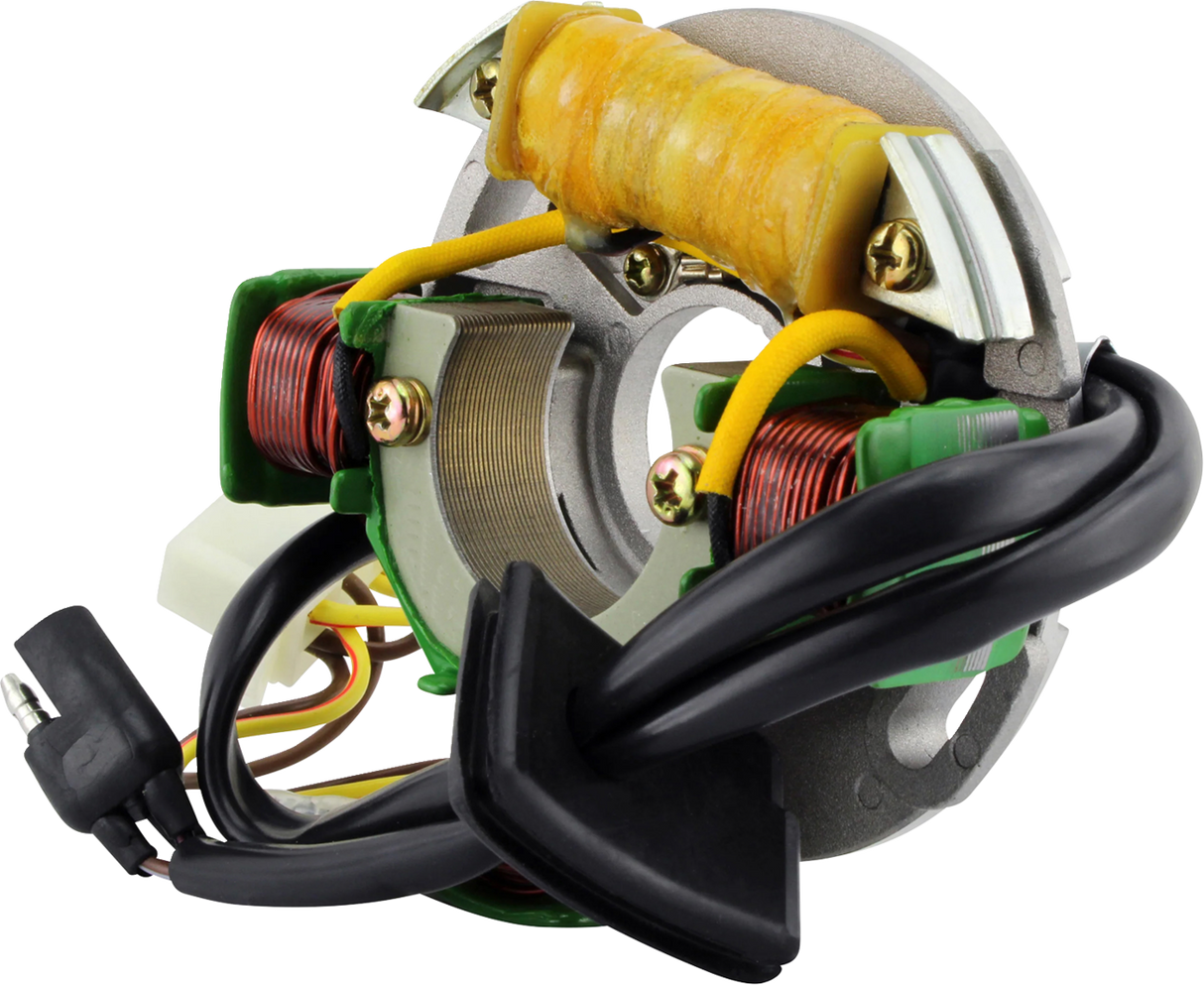 RM STATOR Stator and CDI Box Kit - Polaris RMS900-108199