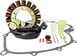 RM STATOR Stator and Gasket Kit - Yamaha RM22611