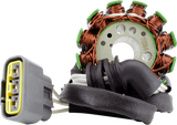 RM STATOR Stator and Flywheel Kit - Yamaha RMS900-106628