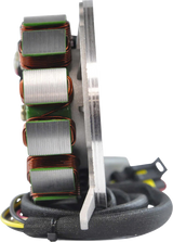 RM STATOR Stator and Flywheel Kit - Ski-Doo/Lynx RMS900-107044