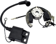 RM STATOR Stator/Rotor/Ignition Coil Kit - KTM/Husqvarna/Gas Gas RMS900-107608