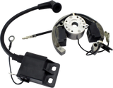 RM STATOR Stator/Rotor/Ignition Coil Kit - KTM/Husqvarna/Gas Gas RMS900-107608