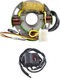RM STATOR Stator and CDI Box Kit - Polaris RMS900-108214