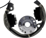 RM STATOR Stator/Rotor/Ignition Coil Kit - KTM/Husqvarna/Gas Gas RMS900-107608