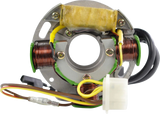 RM STATOR Stator and CDI Box Kit - Polaris RMS900-108214