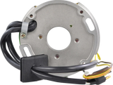 RM STATOR Stator and CDI Box Kit - Polaris RMS900-108214