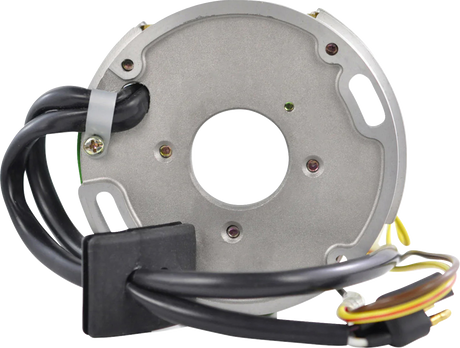 RM STATOR Stator and CDI Box Kit - Polaris RMS900-108214