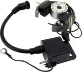 RM STATOR Stator/Rotor/Ignition Coil Kit - KTM/Husqvarna/Gas Gas RMS900-107608