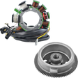 RM STATOR Stator and Flywheel Kit - Polaris RMS900-102180