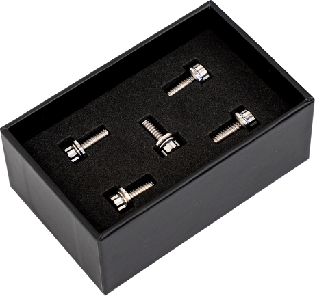 TRASK Bitchin' Bolts Hardware Kit - Titanium - M8 - Derby Cover TM-1050-A