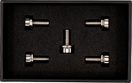 TRASK Bitchin' Bolts Hardware Kit - Titanium - M8 - Derby Cover TM-1050-A