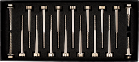 TRASK Bitchin' Bolts Hardware Kit - Titanium - M8 - Crankcase TM-1050-H