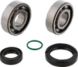 MOOSE OFFROAD Crank Bearings and Seals - Gas Gas/Husqvarna/KTM 24-1131