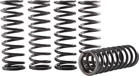 HINSON RACING Hi-Temp Clutch Spring Kit - WR250F/YZ250F/FX CS641-6-1901