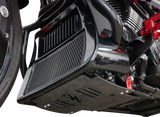 THRASHIN SUPPLY CO. Skid Plate - Carbon Fiber/Forged - With Red Brackets - FLHX/FLTRX TSC-3035-2