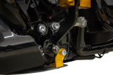 THRASHIN SUPPLY CO. Skid Plate - Carbon Fiber/Forged - With Gold Brackets - FLHX/FLTRX TSC-3035-5