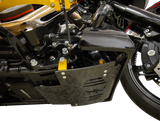 THRASHIN SUPPLY CO. Skid Plate - Carbon Fiber/Forged - With Gold Brackets - FLHX/FLTRX TSC-3035-5