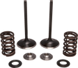 MOOSE OFFROAD Valve Kit - Exhaust - Honda M30-34260