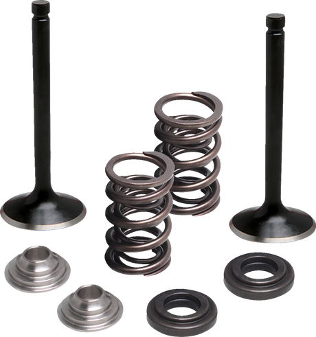 MOOSE OFFROAD Valve Kit - Exhaust - Yamaha M80-83060