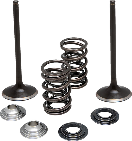 MOOSE OFFROAD Valve Kit - Intake - Suzuki M60-62250