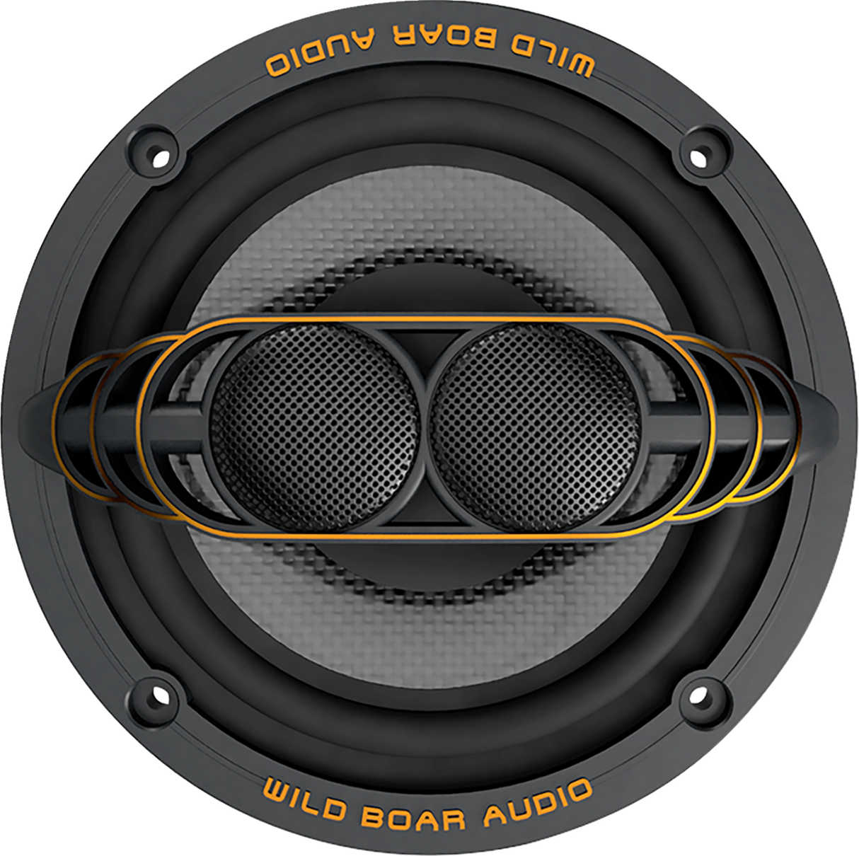 WILD BOAR AUDIO 250 W Speaker - 2 ohm - FL WBA 652-24