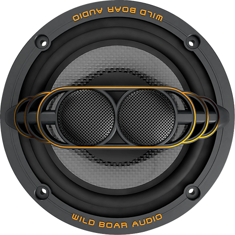 WILD BOAR AUDIO 250 W Speaker - 2 ohm - FL WBA 652-24