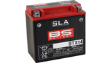BS Battery BTX14 AGM Powersports Battery | 12V 12Ah 200 CCA | Factory Activated | Multi-Position
