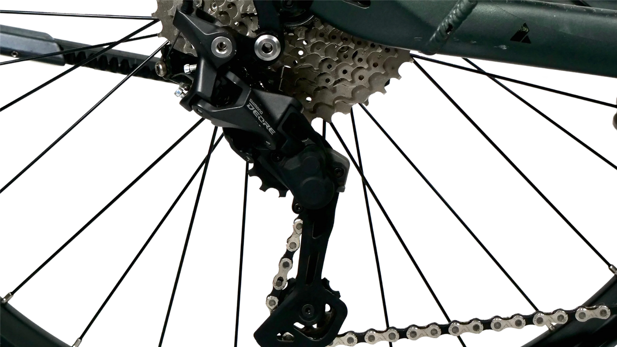 Bulls Iconic EVO 1 750 Wave Step-Thru Bosch E-Bike