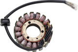 RICK'S MOTORSPORT ELECTRIC Stator - Kawasaki 21-223