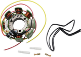 RICK'S MOTORSPORT ELECTRIC Stator - Honda 21-641H