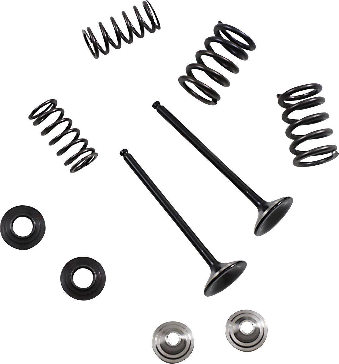 MOOSE RACING Valve and Spring Kit M80-82360 - Cycle City Outdoors