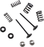 MOOSE RACING Valve and Spring Kit M80-82360 - Cycle City Outdoors