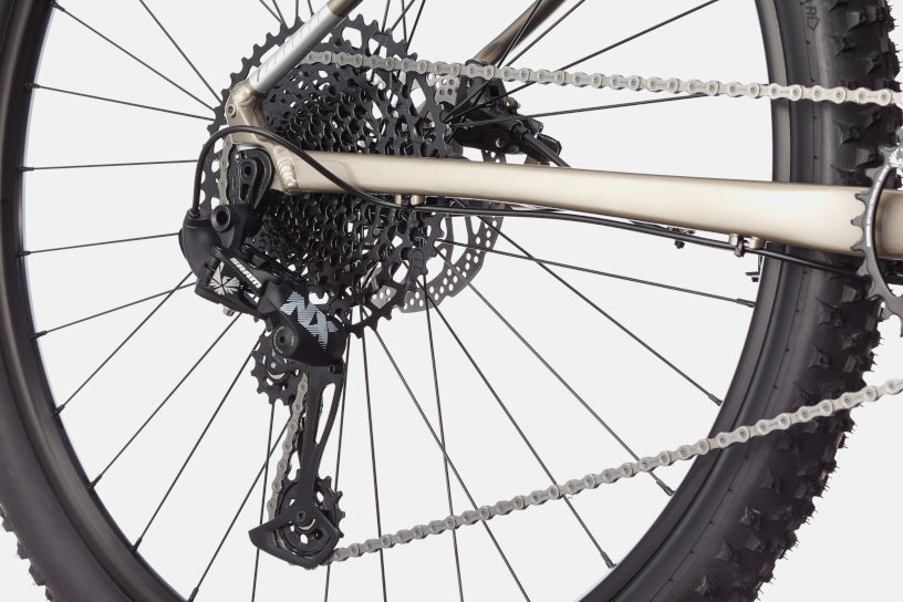 Cannondale - 2022 Trail SE 1 Gray M