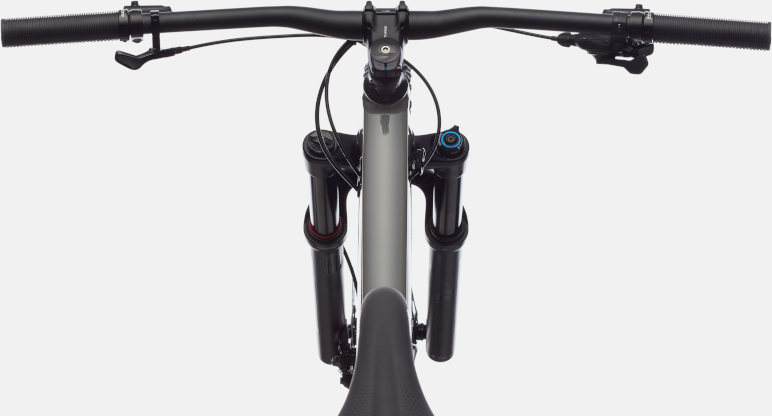 Cannondale - 2022 Habit 4 Grey XL