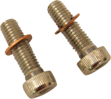 DRAG SPECIALTIES Screws with/Washers - Damper Tube C23-0237NU-2