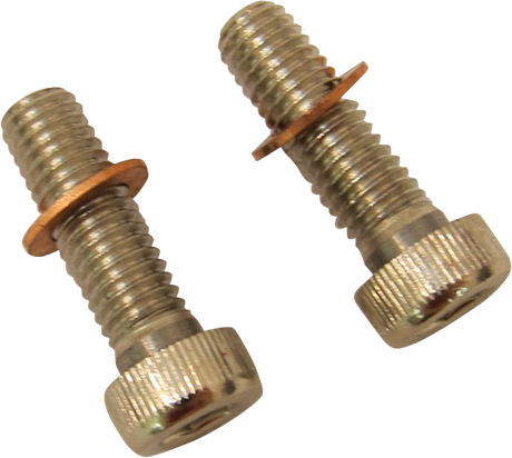 DRAG SPECIALTIES Screws with/Washers - Damper Tube C23-0237NU-2