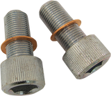 DRAG SPECIALTIES Screws with/Washers - Damper Tube C23-0236NU-2