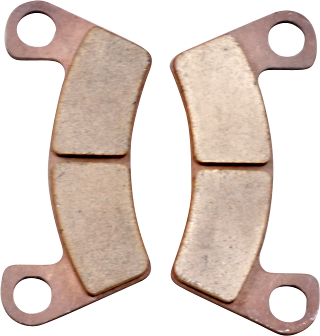 DP BRAKES Sintered Brake Pads - Textron DP594 - Cycle City Outdoors