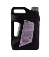 Honda GN4 10W30 5QT