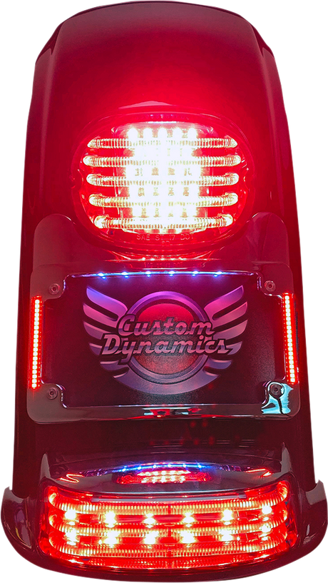 Custom Dynamics License Plate Frame/Turn Signal Eliminator - Black TS-ELIM-06BCM-B - Cycle City Outdoors