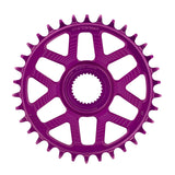 e*thirteen Helix Race e*spec Chainring