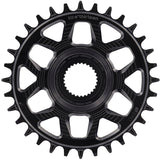 e*thirteen Helix Race e*spec Chainring