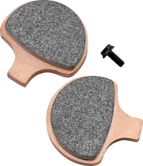 SBS HS Series Sintered Front Brake Pads - 579H.HS (Harley-Davidson FXSTS Springer Softail / FLHTC Electra Glide Classic / FXSTC Softail Custom 1984–2011)