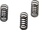 EBC CSK Series Heavy Duty Clutch Spring Kit - CSK236 (Harley-Davidson 2017–2024)