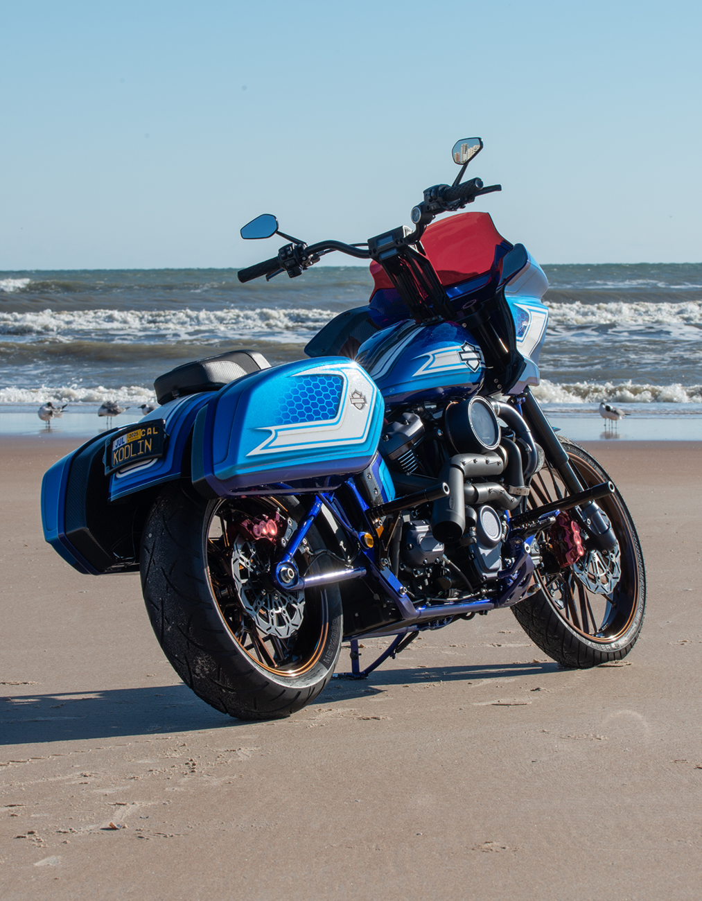SBS Brake Rotor Designed by Kodlin, Rear - 7145E-B (Harley-Davidson FXDB Street Bob / FXDF Fat Bob / FLD Switchback 2004–2025)